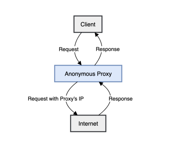 What is an Anonymous Proxy? Things to Know | Web Hosting Geeks' Blog