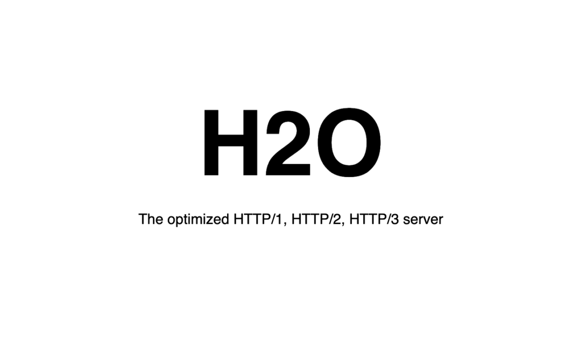What is H2O Web Server? [Explained in Simple Terms] | Web Hosting Geeks ...