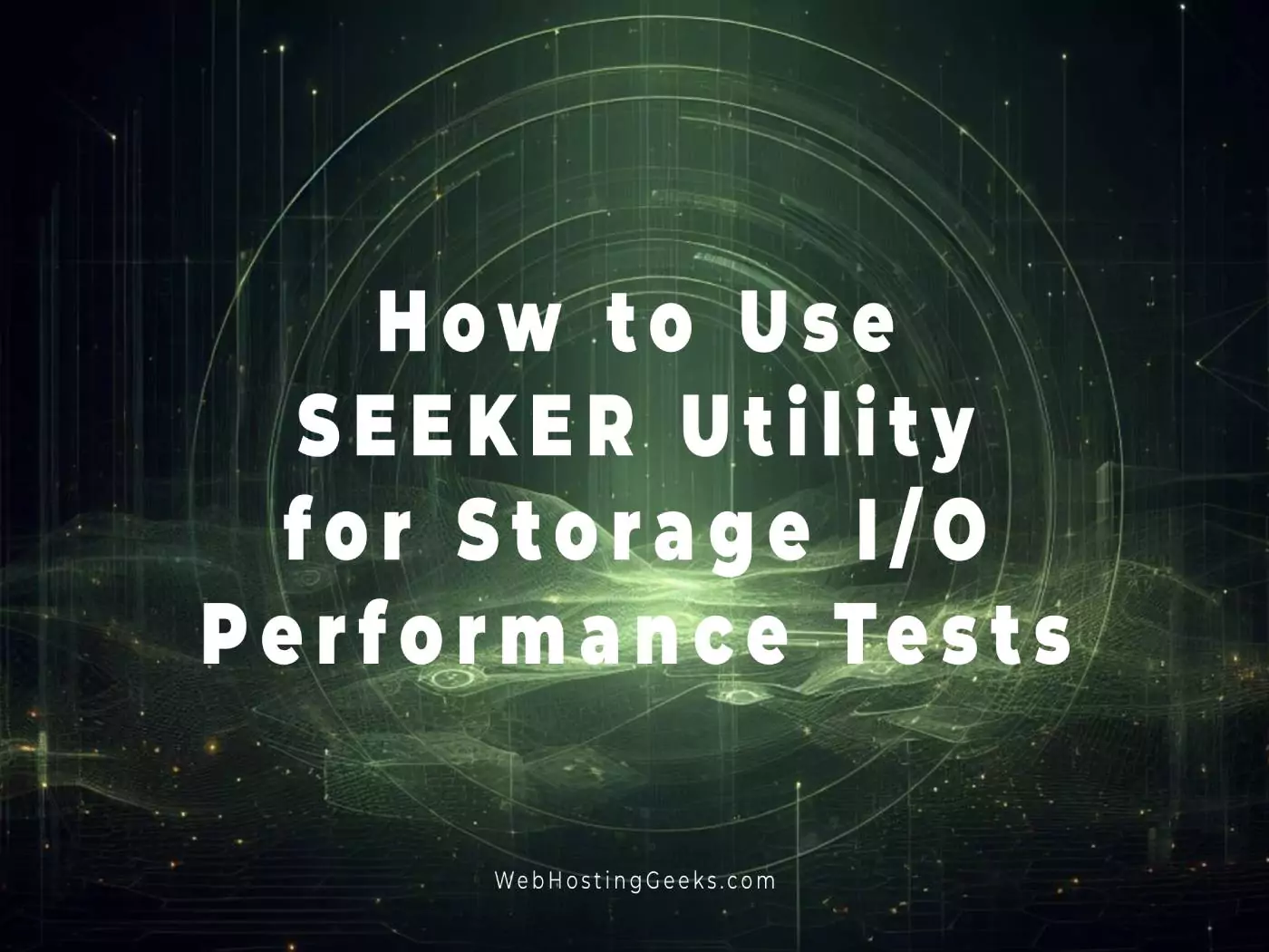 How to Use SEEKER Utility for Storage I_O Performance Tests